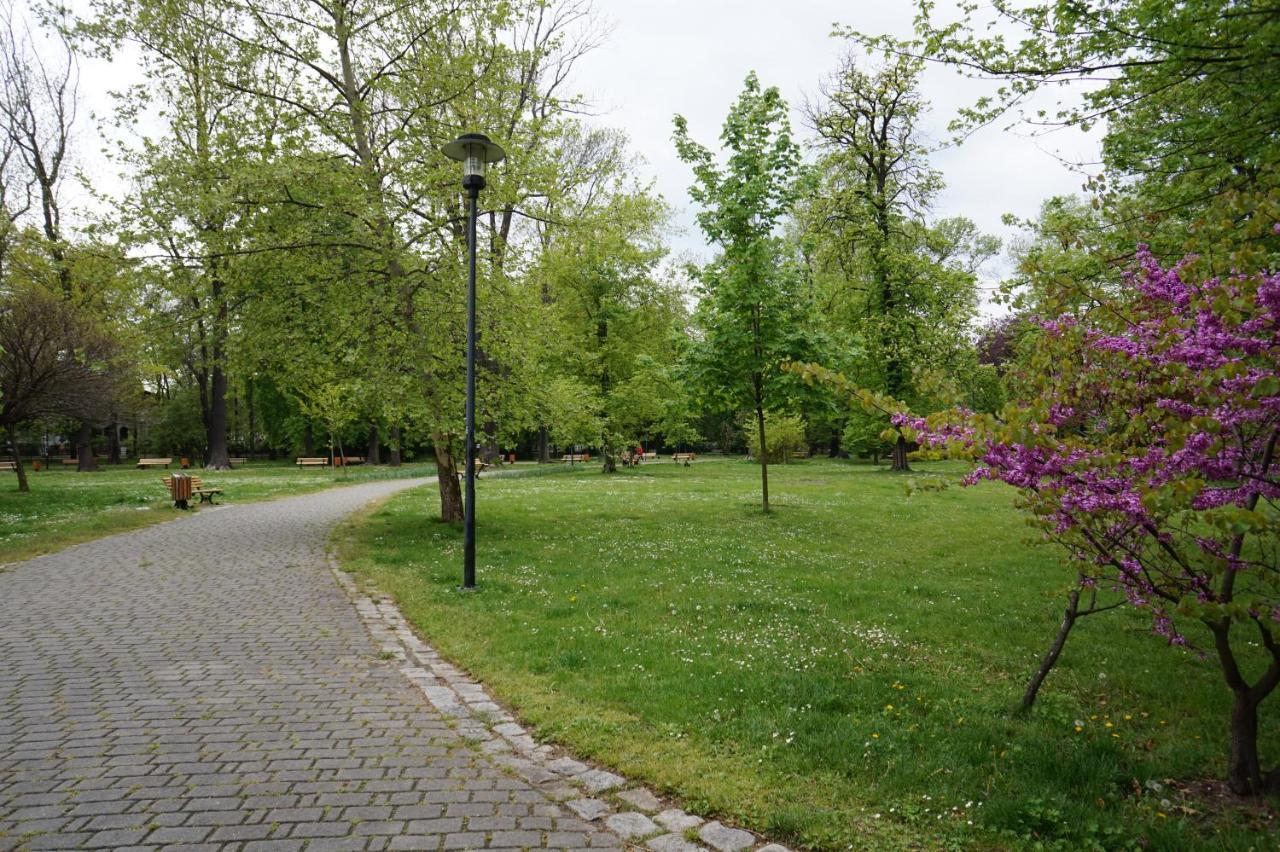 Apartament Gliwice Centrum Fredry II Kültér fotó